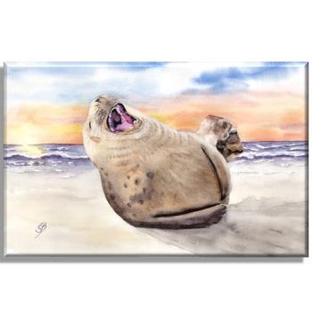 Leinwand Keilrahmen Canvas-Leinen  Aquarell Maritim Kunst Druck Kunstdruck lachender Seehund Robbe Heuler Kegelrobbe Dänemark Nordsee Ostsee